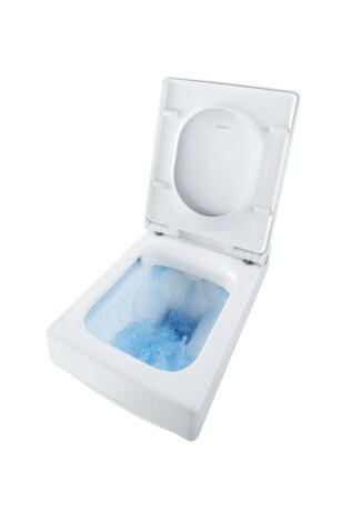 WC-zitting, 0022090000 Wit Hoogglans, kleur scharnier: RVS, overlappend