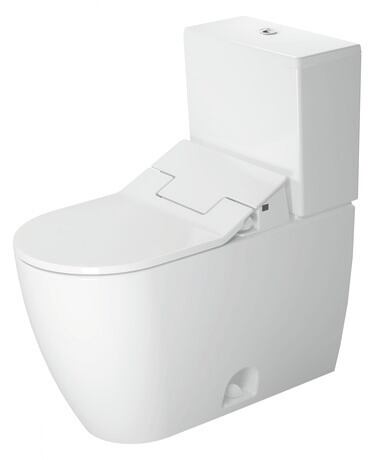 Two Piece Toilet, D42007