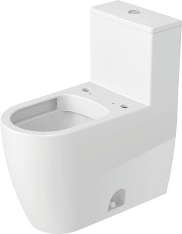 Inodoro de una pieza para asiento de lavado, 2173510001 Blanco Brillante, Doble descarga, Cantidad agua de descarga: 5/3,5 l, Posición del accionamiento de la cisterna: superior